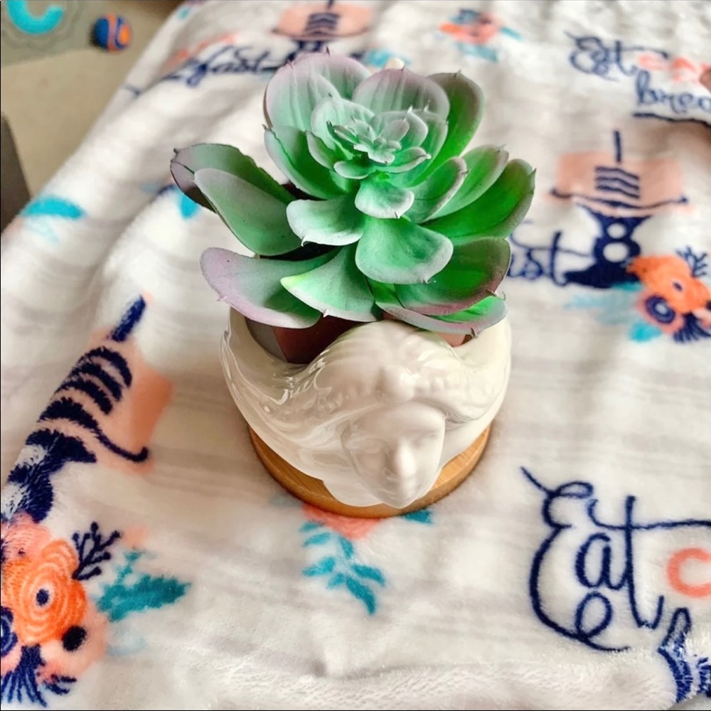 🧜🏻‍♀️ Mermaid Succulent Vase Planter 🧜🏻‍♀️ - Picture 5 of 9